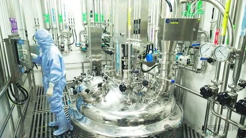 临沂在线网站技术服务 构建高效稳定的网络平台